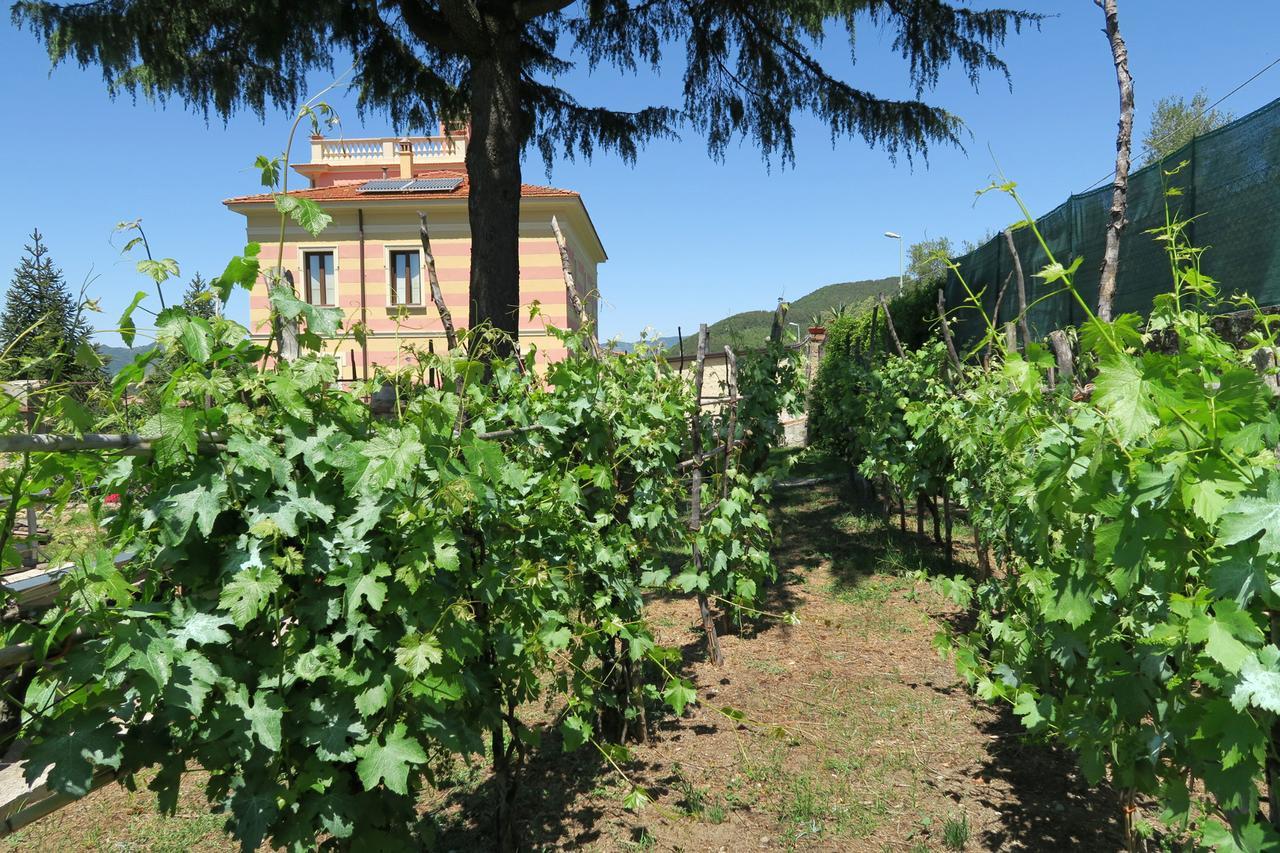 Villa Vincenza Vallo della Lucania Exterior photo